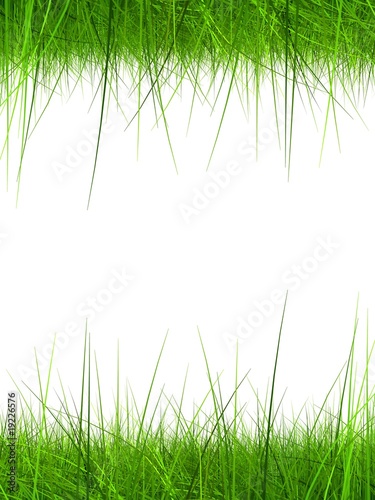 high resolution 3d green grass frame isolated on a white