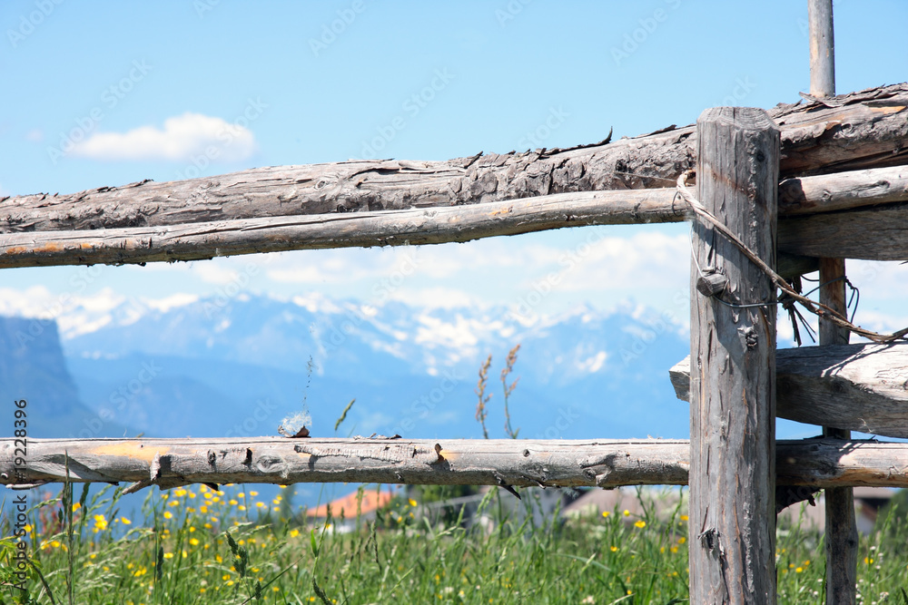 Fototapeta premium Wooden fence on the mountain pasture
