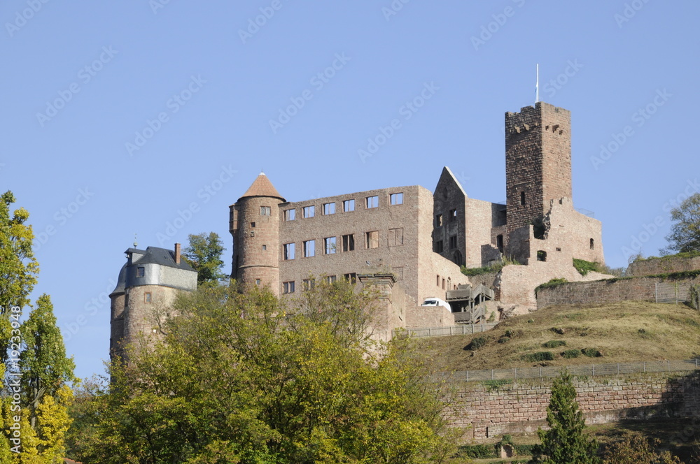 Fototapeta premium Burgruine in Wertheim