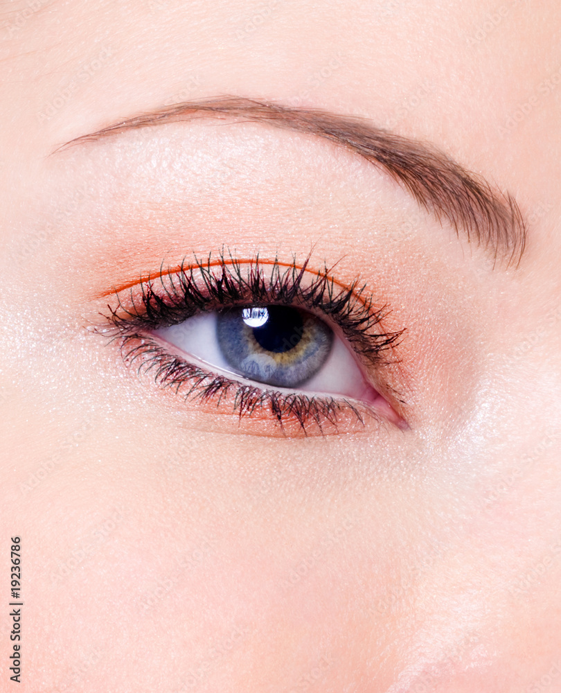 fashion makeup of a female eye fashion makeup of a female eye