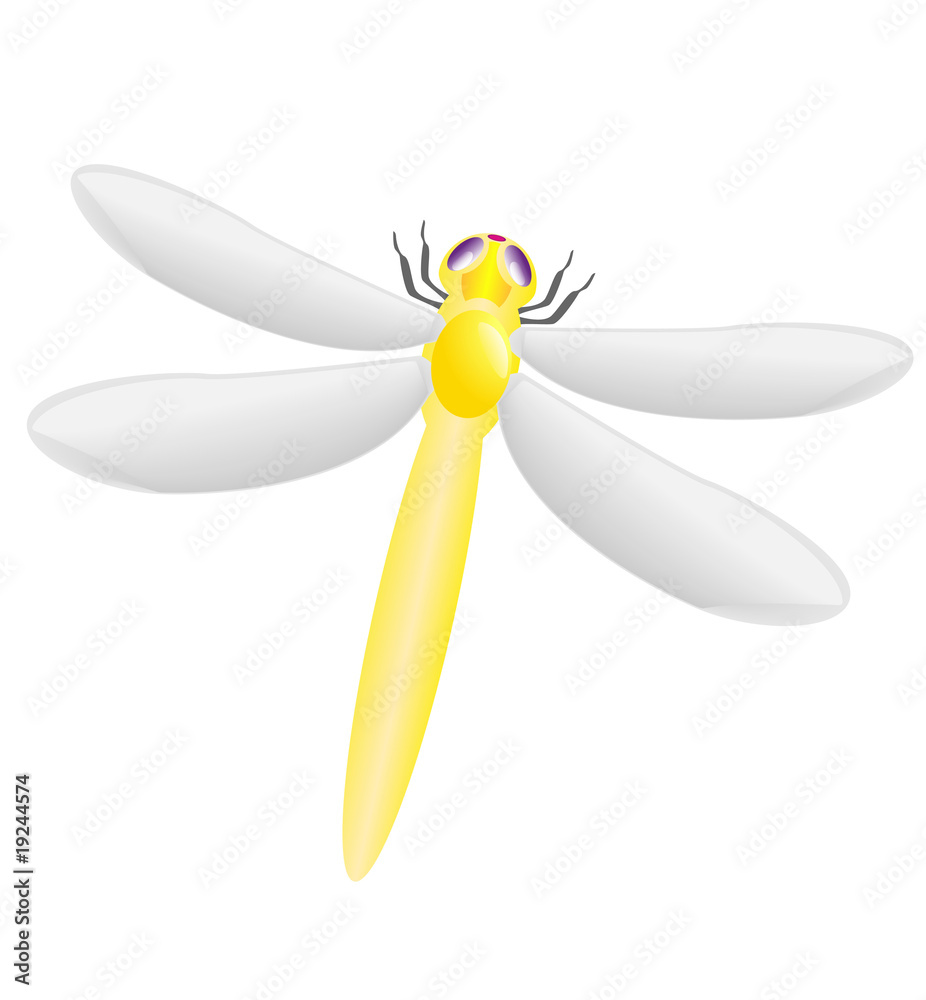 dragonfly dragonfly