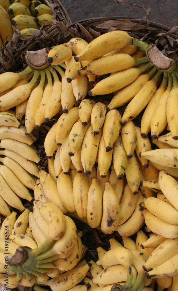Bananen sonnengereift