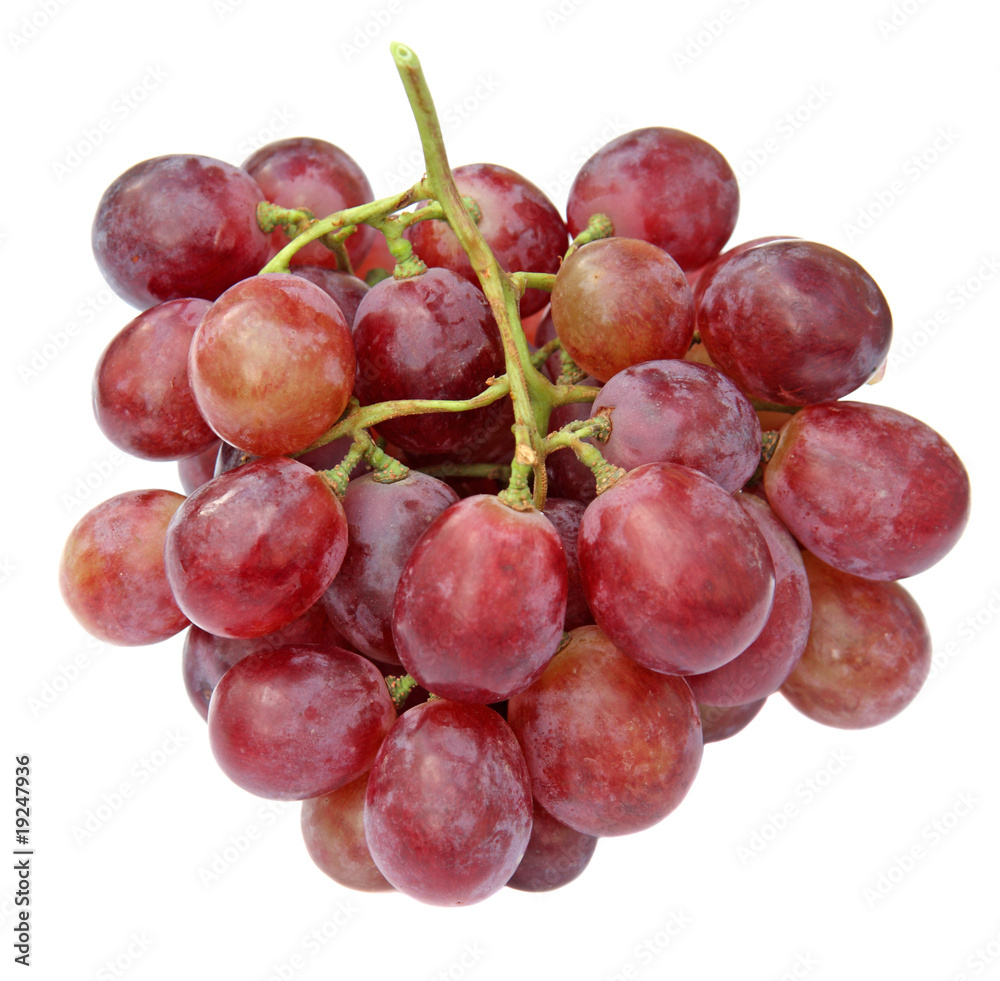 raisin rosé grappe fond blanc raisin rosé grappe fond blanc