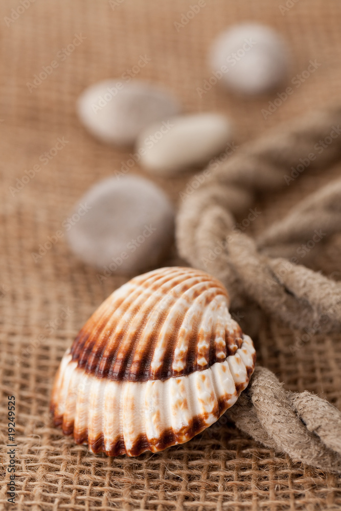 shell laing on jute shell laing on jute