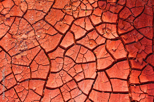 Roter Lehm-Boden mit Austrocknungsrissen photo