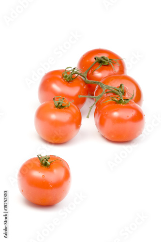 tomatoes