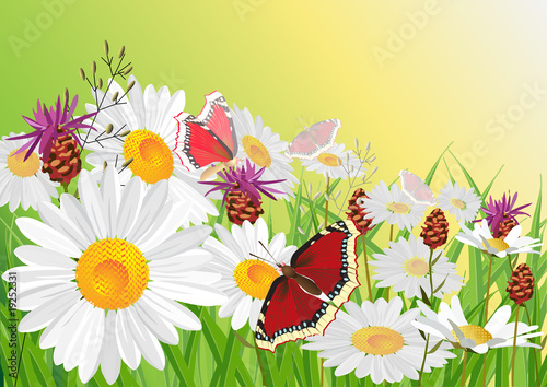 Summer, flowers, butterfly.