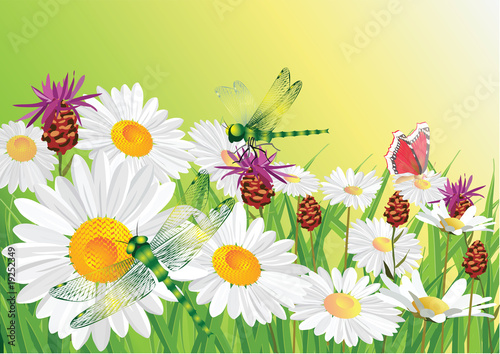 Summer flowers.