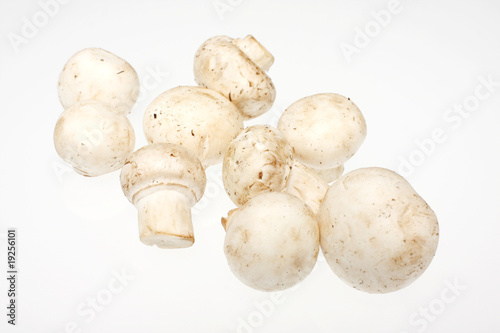 Crimini mushrooms isolated on white.