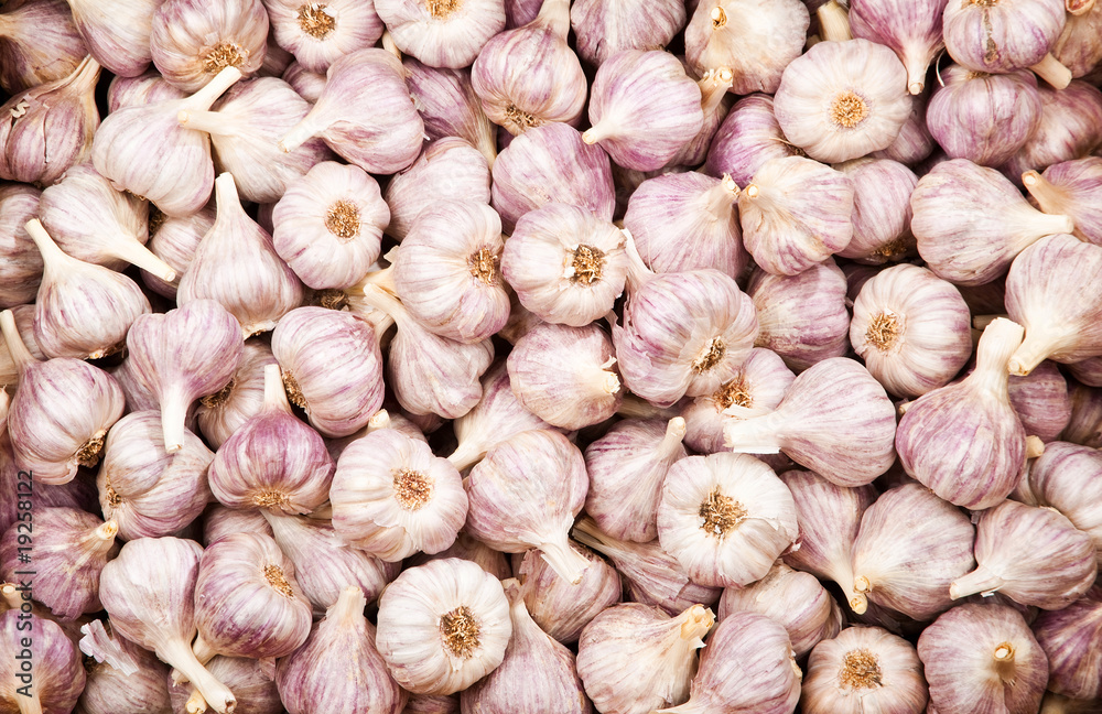 Garlic Garlic