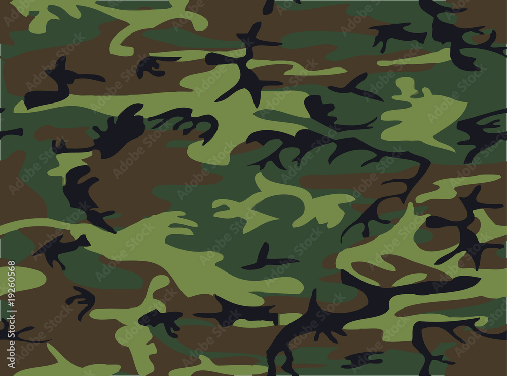 Fototapeta premium Camouflage II
