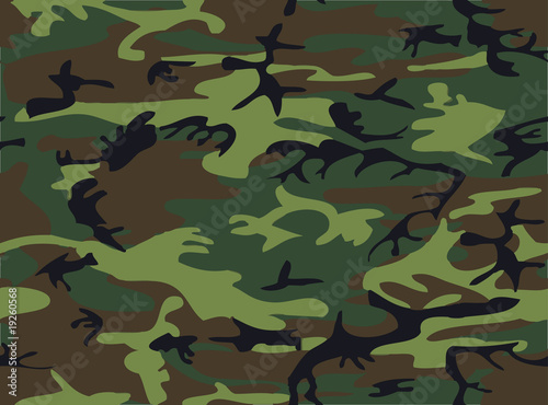 Camouflage II photo
