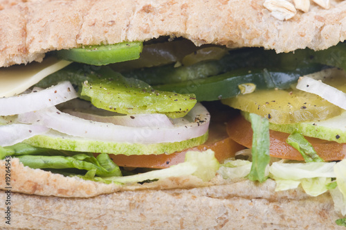 close up of vegetarian sandwich photo