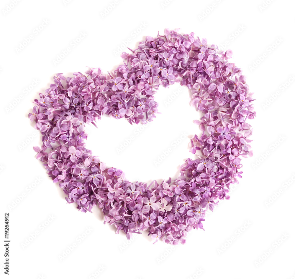 Frame in the form of heart from colors of a lilac