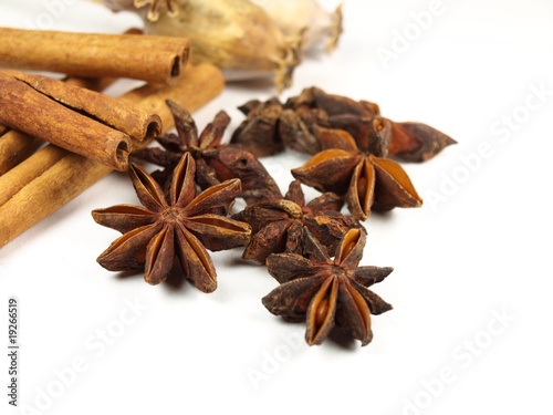 Star anis with cinnamon barks on white background