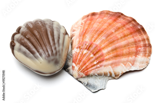 Chocolate and real seashell