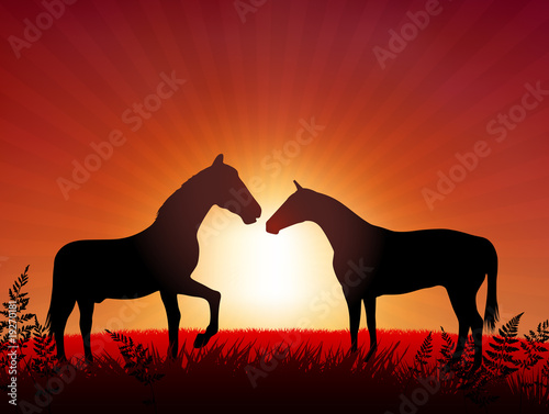 Horses on Sunset Background