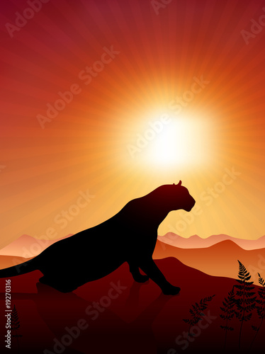Lion on Sunset Background