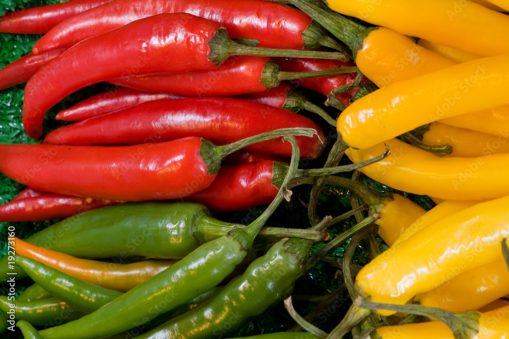 Paprika Paprika