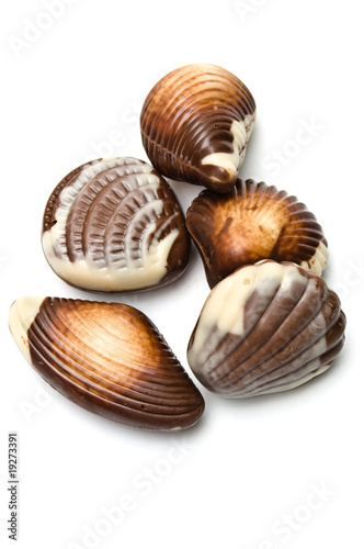 Five chocolate mollusk shaped assortments