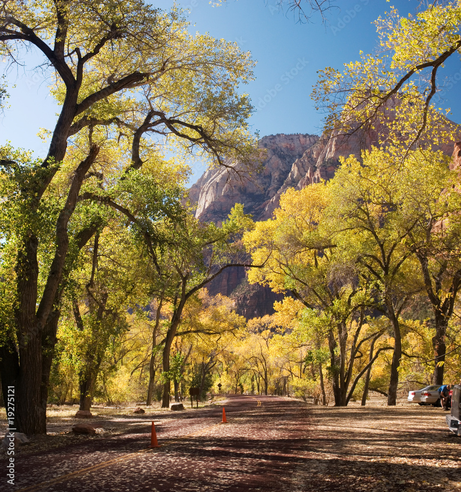 Naklejka premium Zion National Park, Utah