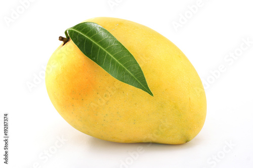 Fresh ripe mango on white