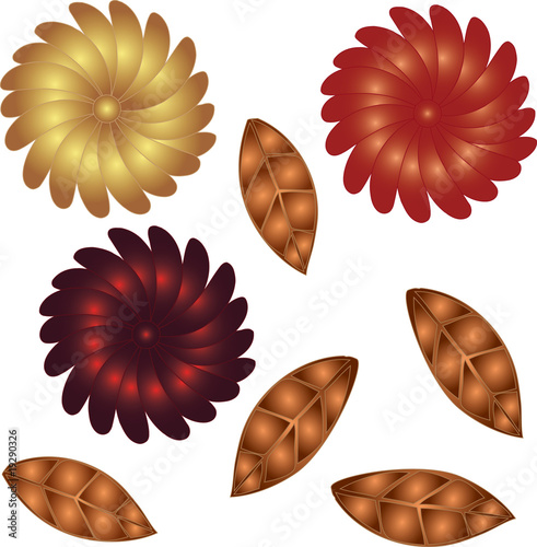 Autumn flowers
