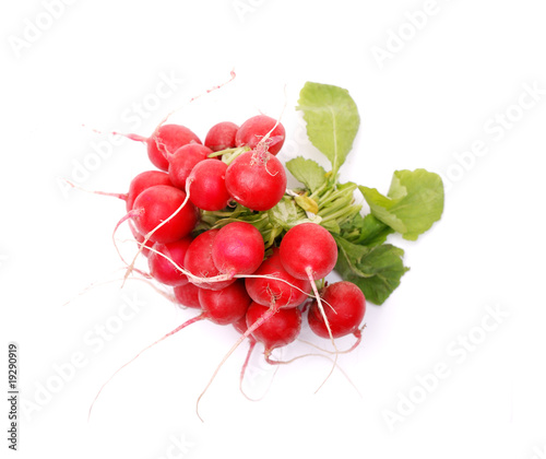 Bunch of radish
