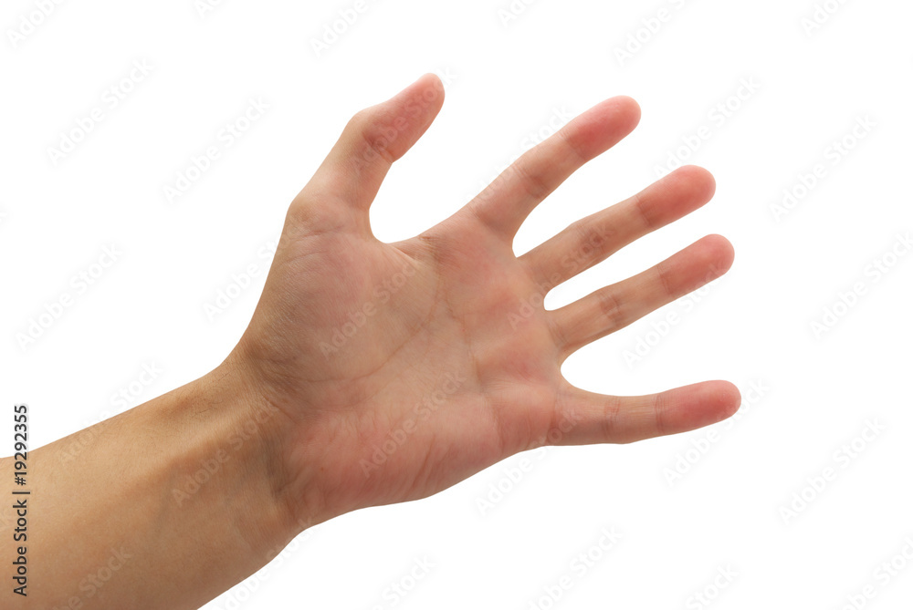 Human palm Human palm