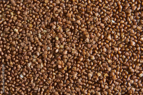 close-up on buckwheat surface
