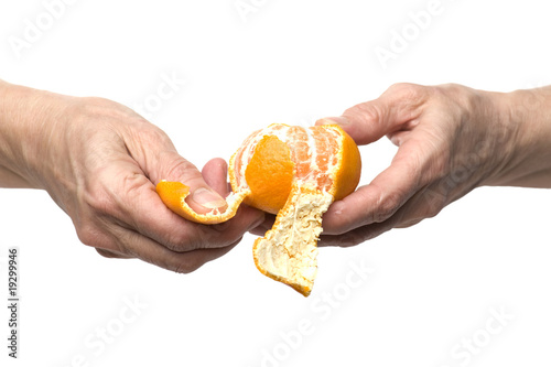 mandarin in hand