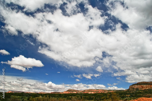 In the Coral Pink Sand Dune National park. Utah. USA