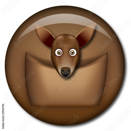 Chapa cabeza de cria de canguro
