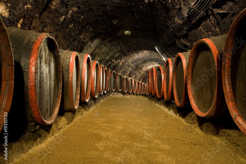 Wine barrels in winery cellar photo