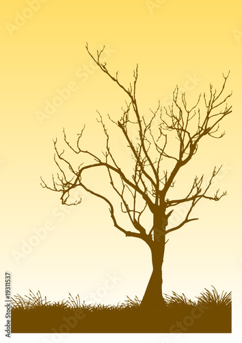 vector tree