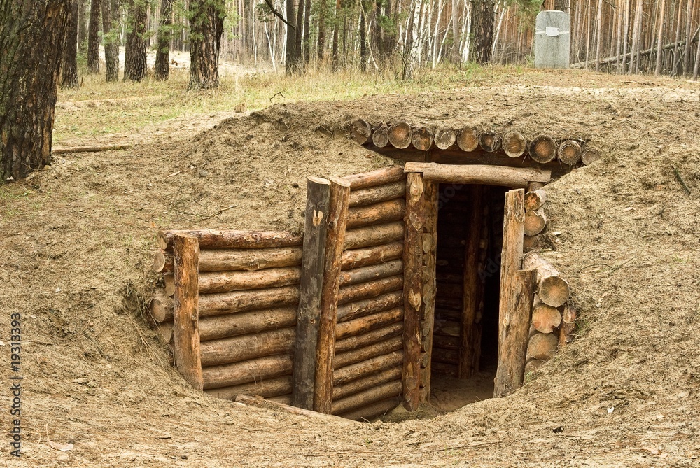 small dug-out in a forest small dug-out in a forest