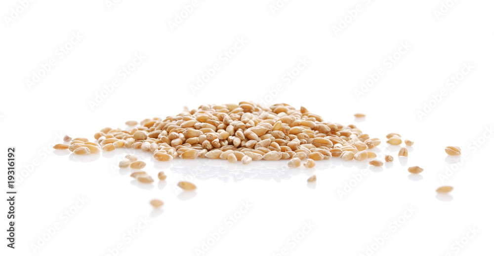 Fototapeta premium Grain of the wheat