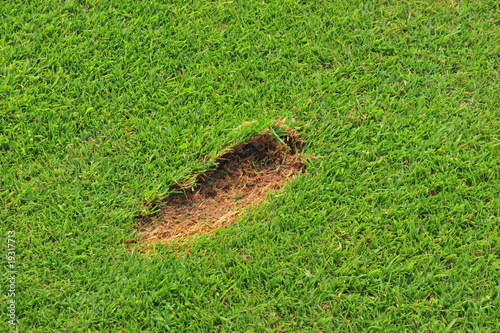 Fotografi divot