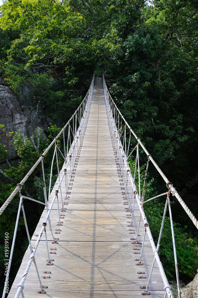 Swinging Hanging Bridge