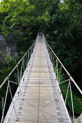 Fototapeta Naklejka Na Ścianę i Meble -  Swinging Hanging Bridge