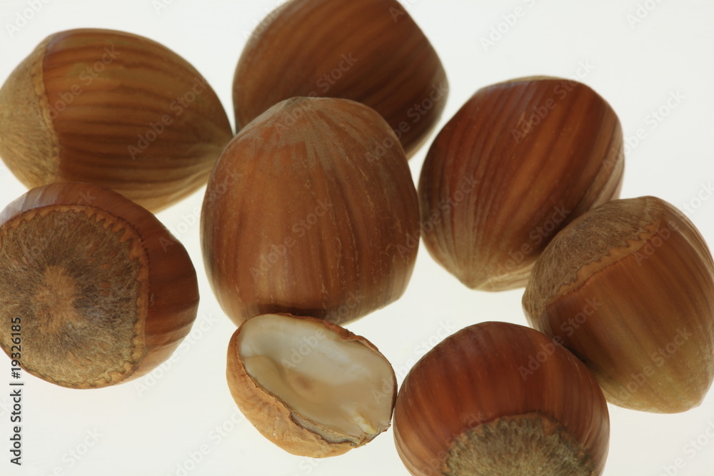 Haselnüsse 6442 Haselnüsse 6442