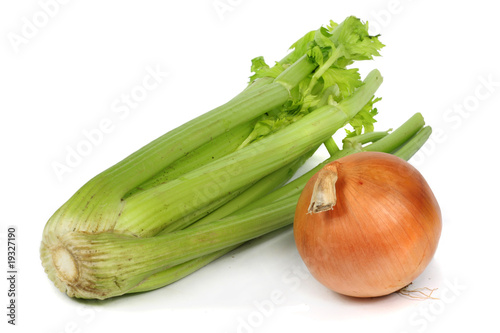 a single onion and celery close-up white background