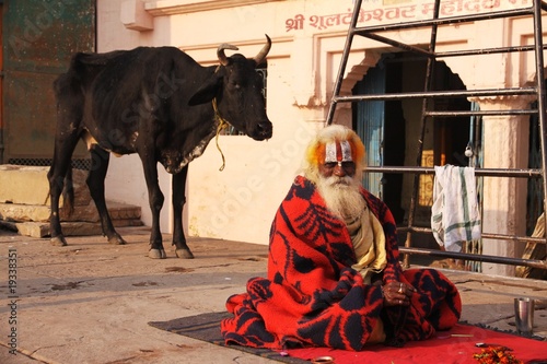 baba sadhu varanasi et sa vache sacrée