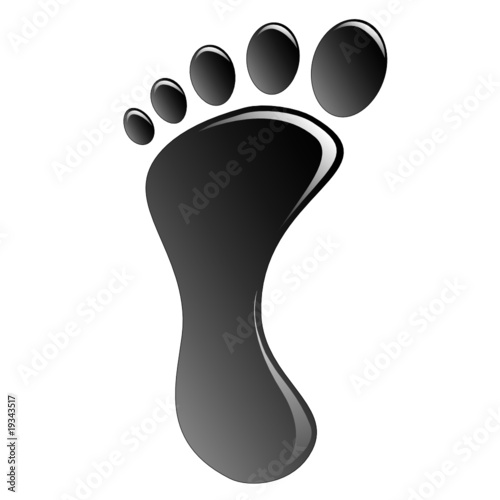 Foot