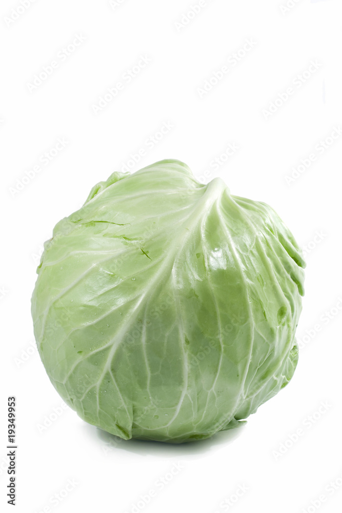 圆白菜在白色背景近距离拍摄 圆白菜在白色背景近距离拍摄