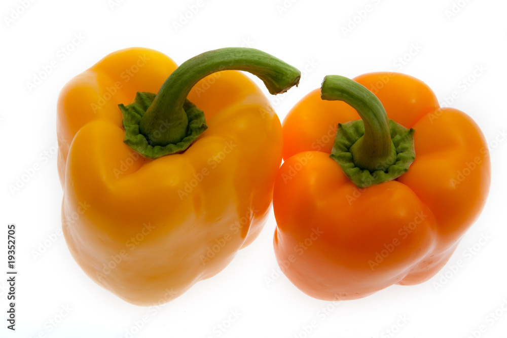 Paprika Paprika