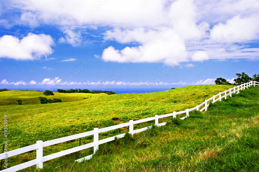 Landscape of Big Island. Hawaii. USA