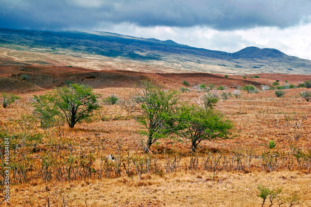 Landscape of Big Island. Hawaii. USA