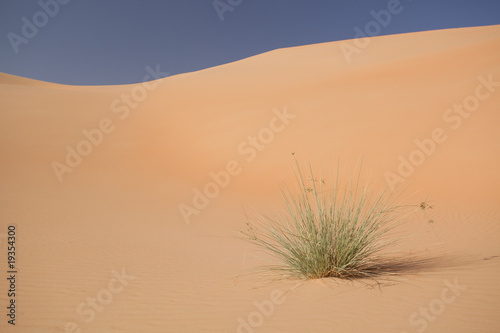 climate change theme - grass in desert