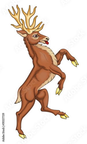Stag vector